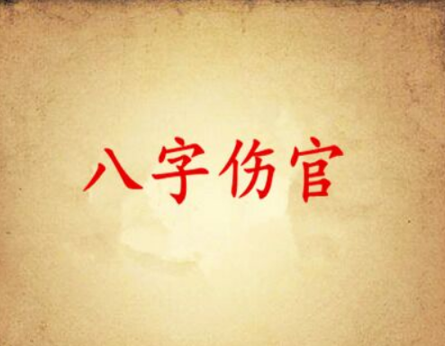 八字带伤官比较叛逆的孩子怎么教育引导？